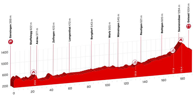 Stage 4 profile